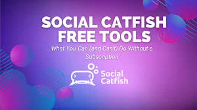 How Free Alternatives to Social Catfish Help You Verify Online Profiles 2 How Free Alternatives to Social Catfish Help You Verify Online Profiles